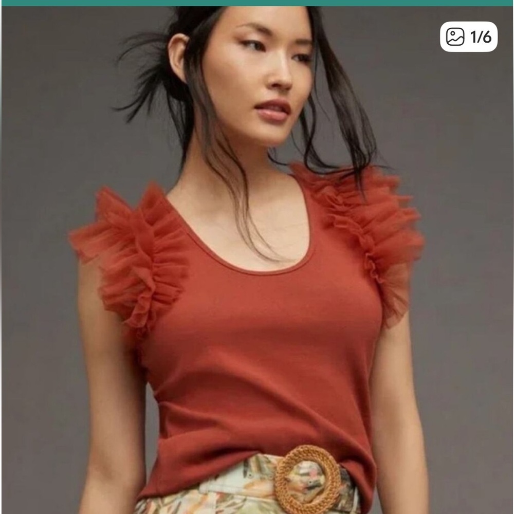 Anthropologie Dolan Rust Ruffle Sleeve Top Sz medium M whimsy tulle ribbed